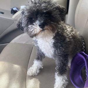 Meet your Posher, Lynn